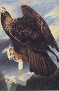 Golden Eagle, John James Audubon